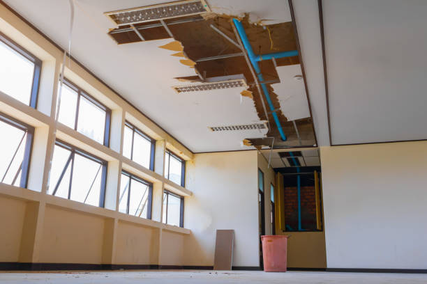 Best Water damage contractors near me  in Campbellsburg, KY