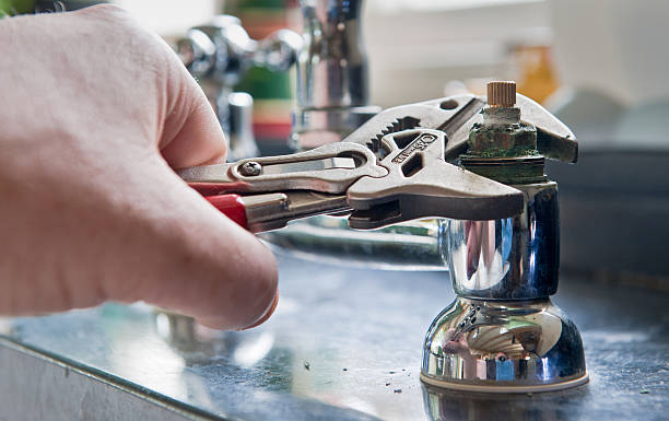 Best Flood restoration services  in Campbellsburg, KY