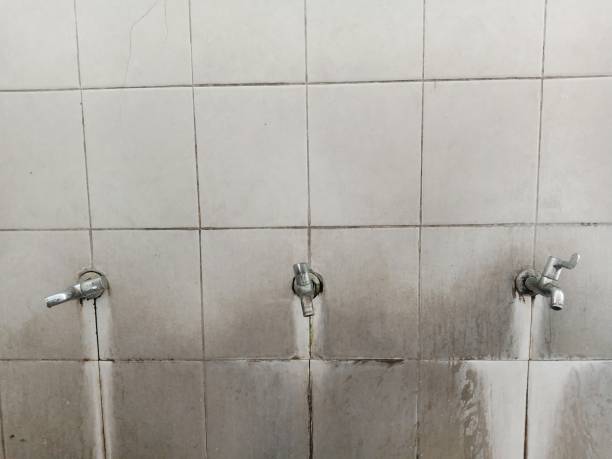 Best Basement water damage restoration  in Campbellsburg, KY