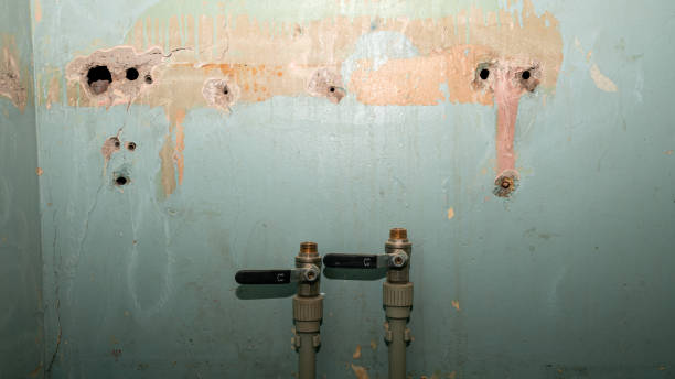 Best Flooded house restoration  in Campbellsburg, KY