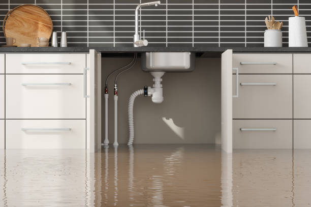 Best Water damage contractors near me  in Campbellsburg, KY