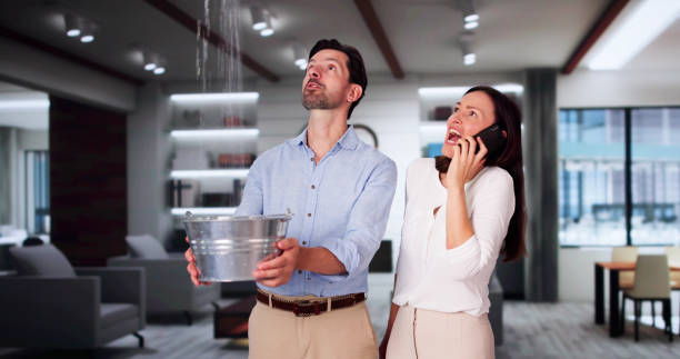 Best Flood damage cleanup  in Campbellsburg, KY