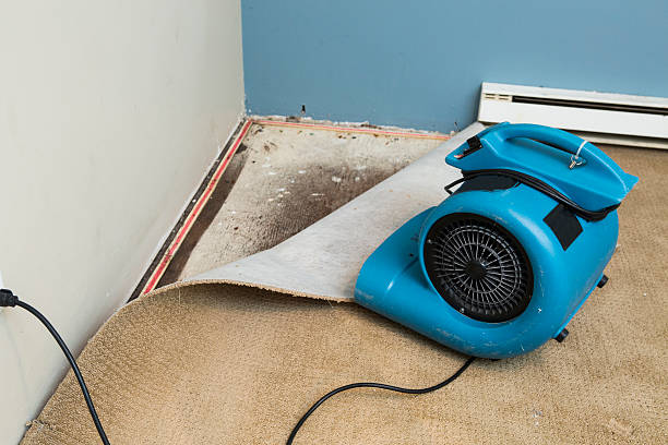  Campbellsburg, KY Water damage restoration Pros